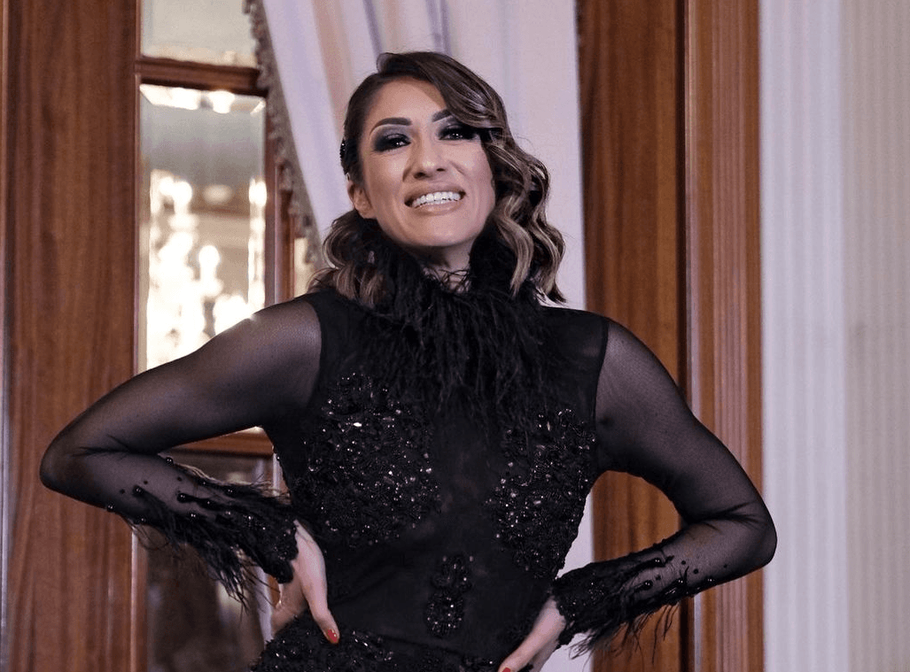 Bh. influenserice kao inspiracija za outfit na crvenom tepihu