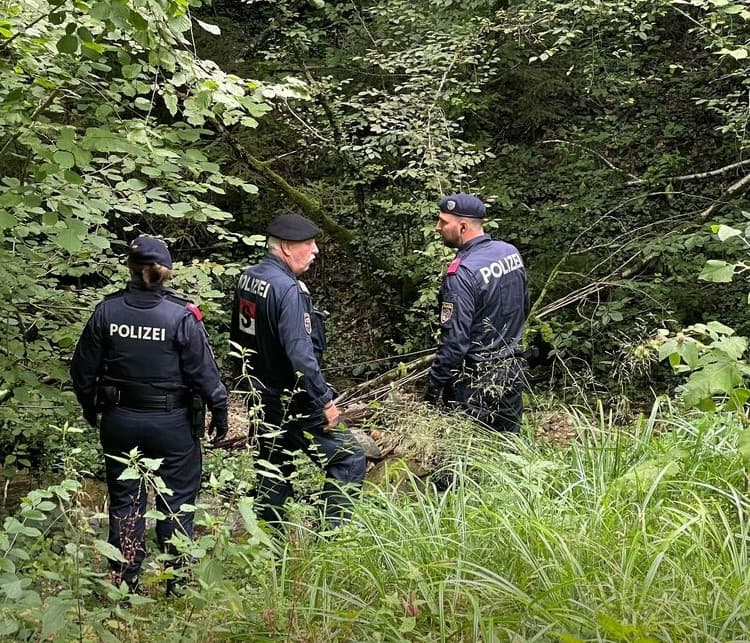Stravični detalji zločina u Austriji: Bosanku je bivši muž izbo šrafcigerom i ostavio u šumi