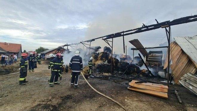 Pogledajte eksploziju koja je zatresla okolicu Bjelovara, stradale mnoge životinje