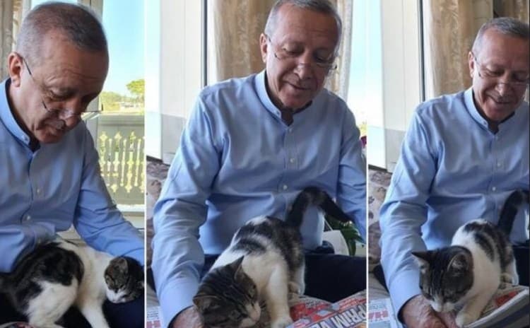 Erdoan podijelio fotografije sa mačkom svoje unuke