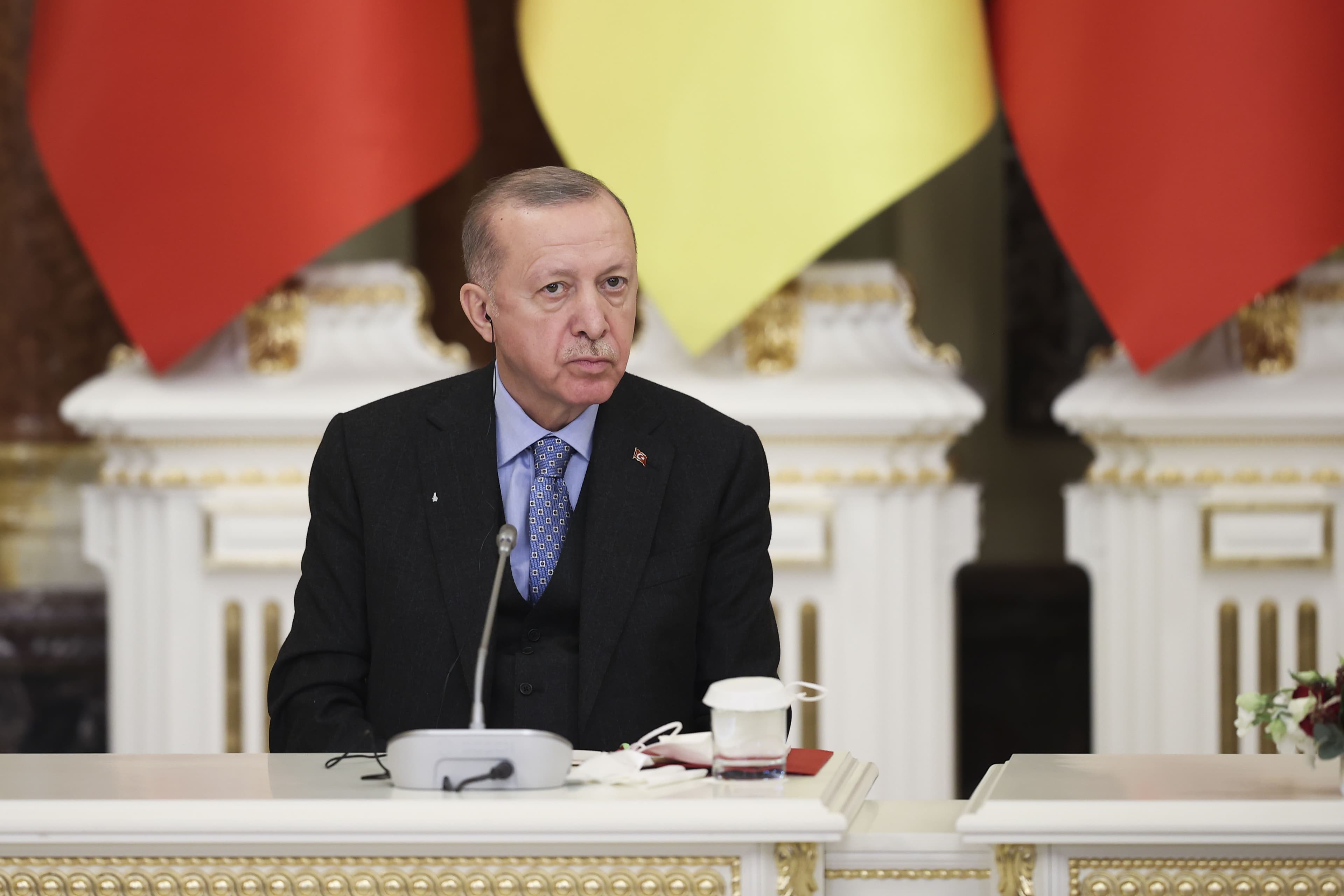 Erdoan u Kijevu: Turska je spremna da bude domaćin sastanka čelnika Rusije i Ukrajine