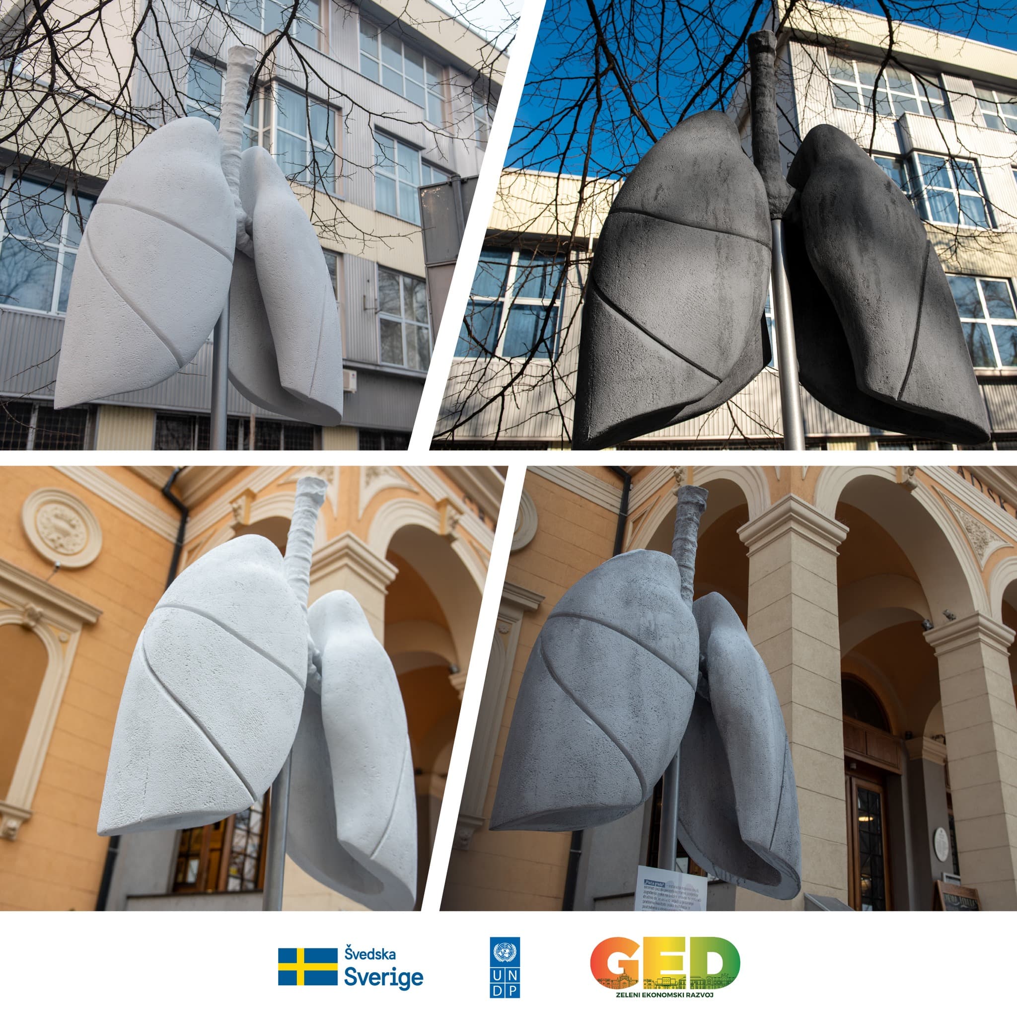 U Sarajevu postavljena Pluća grada: Pogledajte kako izgledaju nakon dva dana