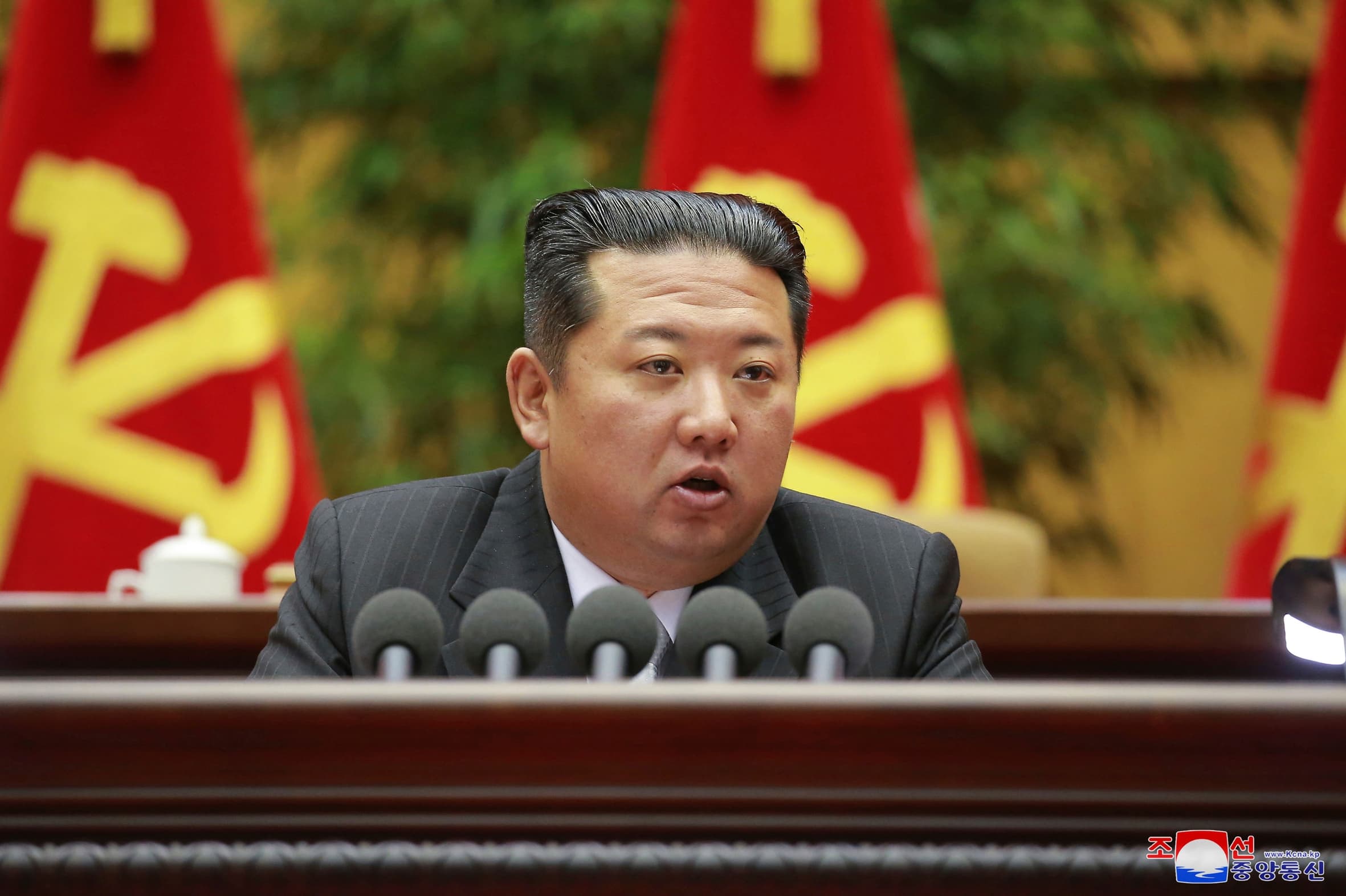 Sjeverna Koreja za rusku invaziju okrivila SAD