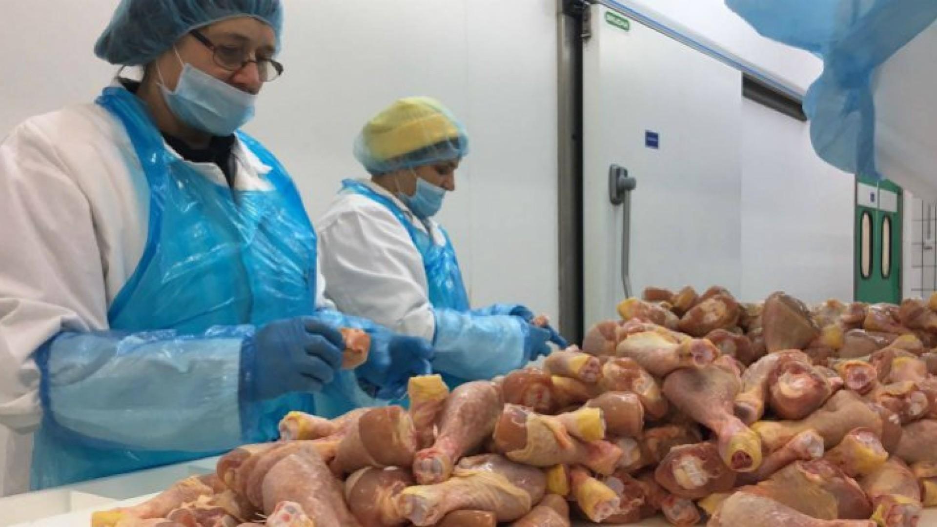 Narednih dana u BiH pojeftinjuje pileće meso