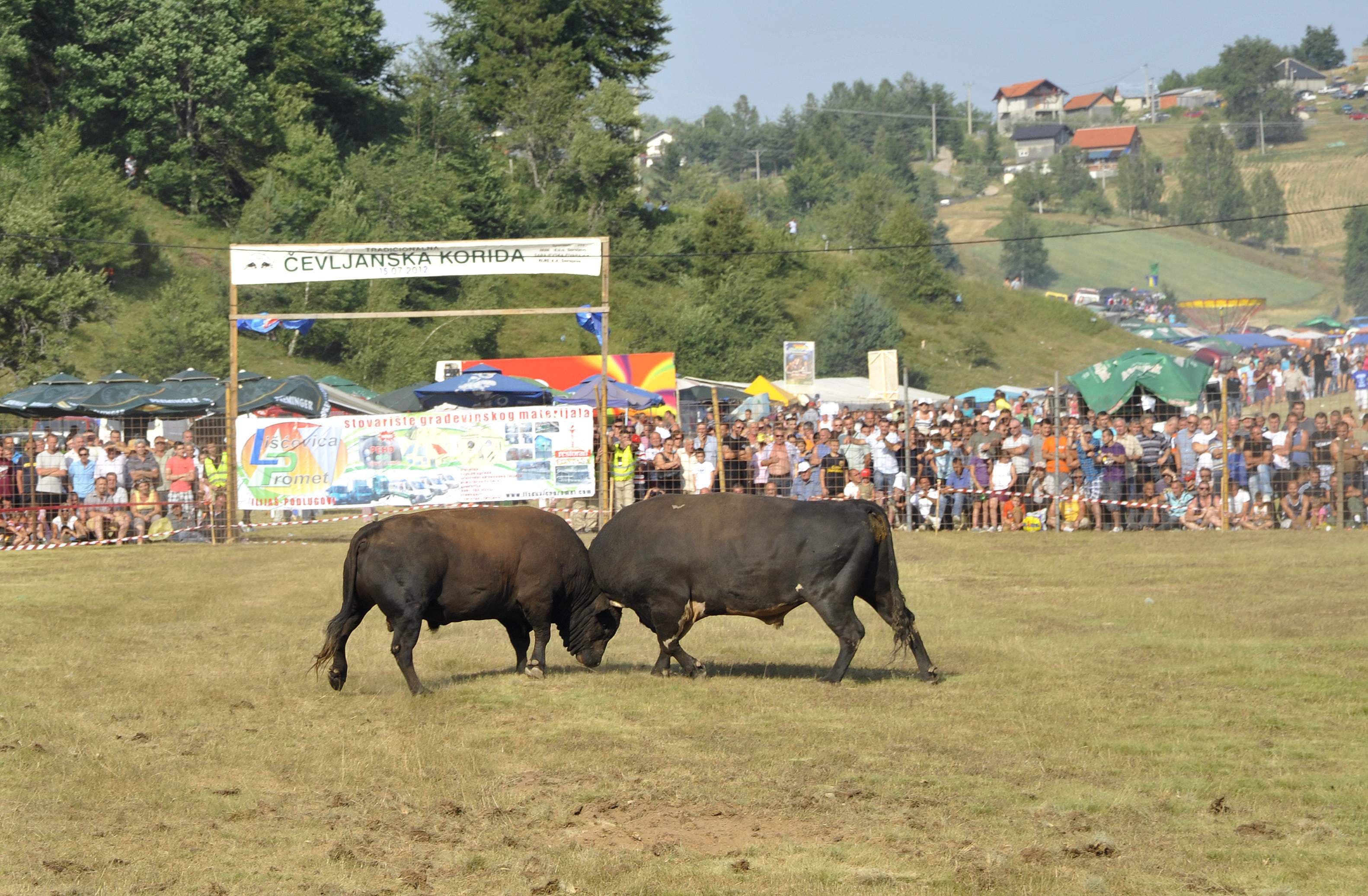 Otkazana Čevljanska korida, evo šta su razlozi