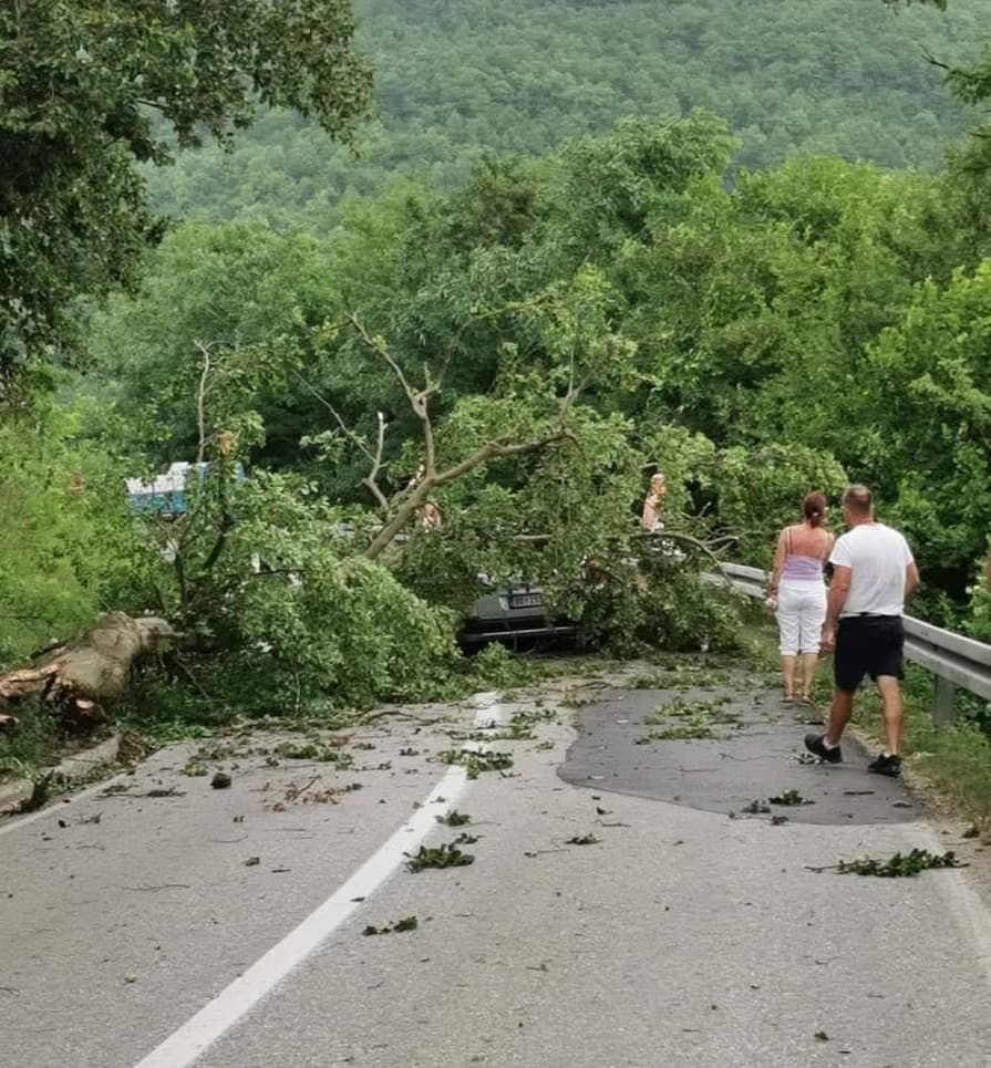 Nesreća kod Foče: Snažan vjetar oborio drveće na automobil u pokretu