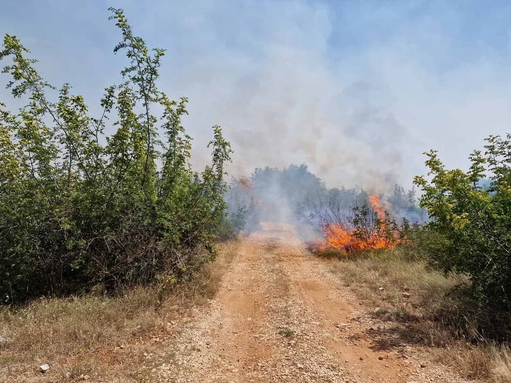 Mostarski vatrogasci se bore s požarom nedaleko od kuća