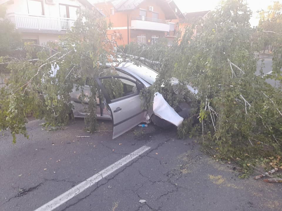 Nesreća u Banjoj Luci: Drvo se obrušilo na automobil, dvije osobe povrijeđene