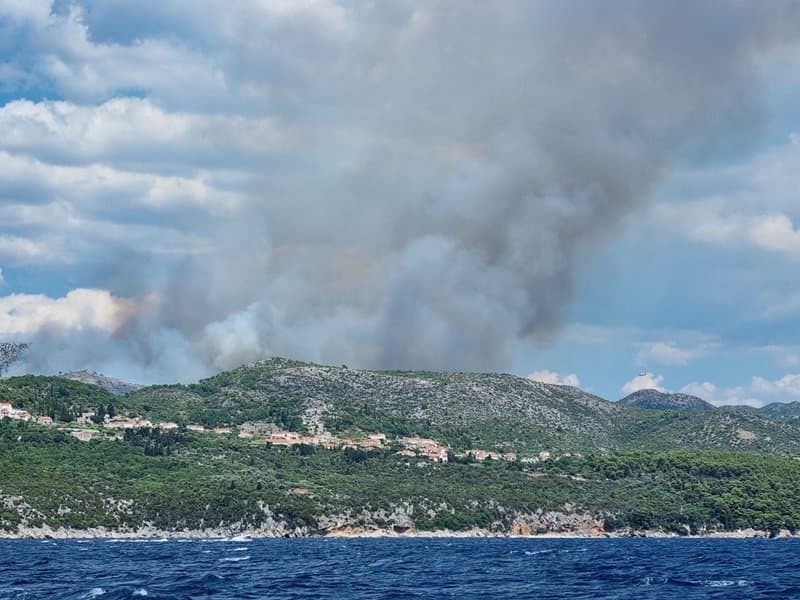 Požar kod Dubrovnika: 29 vatrogasaca sa deset vozila na terenu