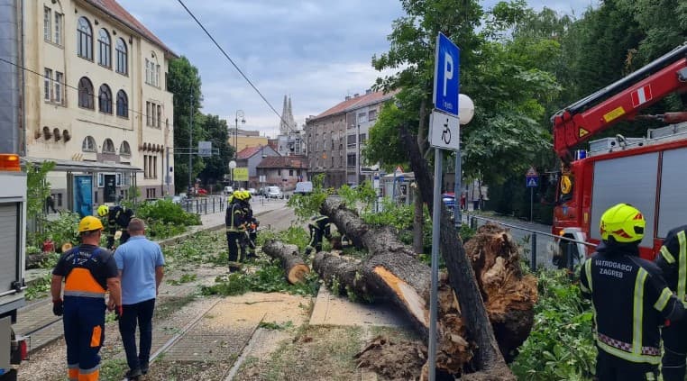 Drvo palo na ženu i nanijelo joj povrede, poznat i mogući uzrok