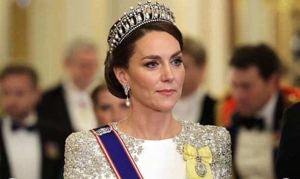 Za Kejt Midlton započela je nova era: Prvi put kao princeza od Velesa prisustvovala kraljevskom banketu