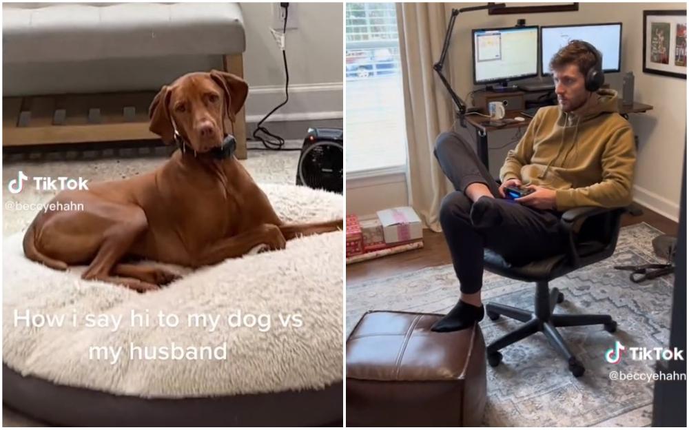 Video nasmijao sve na TikToku: Žena pokazala kako pozdravlja psa kada dođe kući, a kako supruga