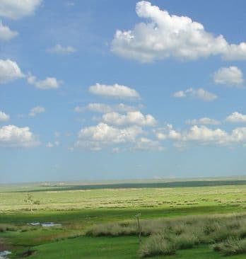 d - Avaz