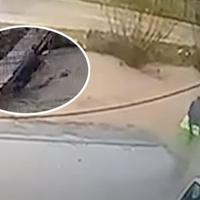 Tragedija: Objavljen trenutak kada su muškarci upali u nabujalu rijeku u Novom Pazaru