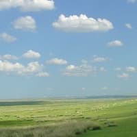 Aplikacija za planiranje obroka s umjetnom inteligencijom preporučuje i otrovne recepte