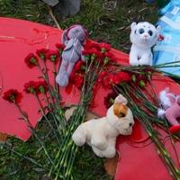 Ovako izgleda unutrašnjost vrtića posle pada helikoptera u Ukrajini: Stradalo više djece, poginuo ministar