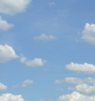 SREDNJA4