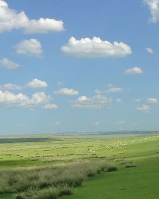 Aplikacija za planiranje obroka s umjetnom inteligencijom preporučuje i otrovne recepte