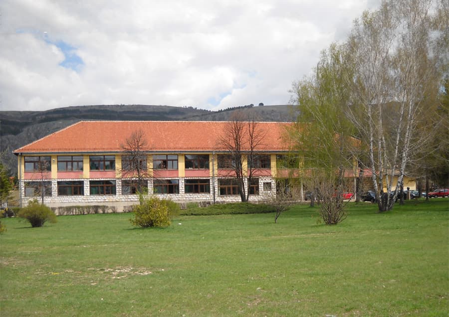 Dnevni avaz