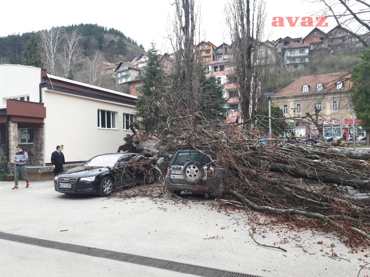 Dnevni avaz