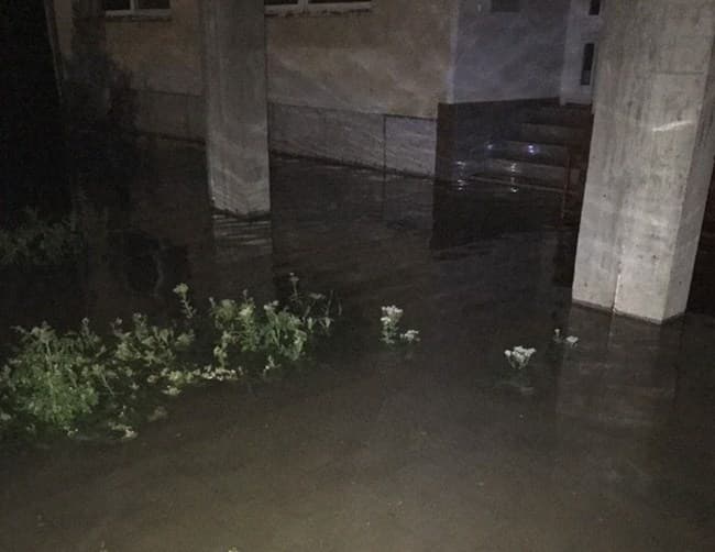 Dnevni avaz