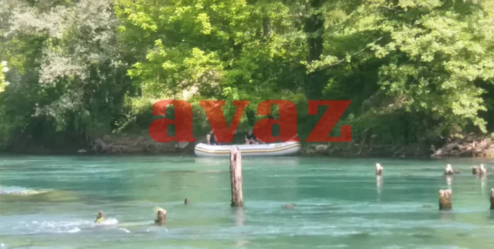 Dnevni avaz