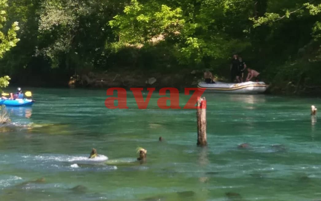 Dnevni avaz