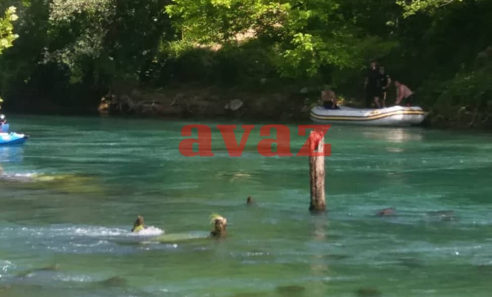 Dnevni avaz