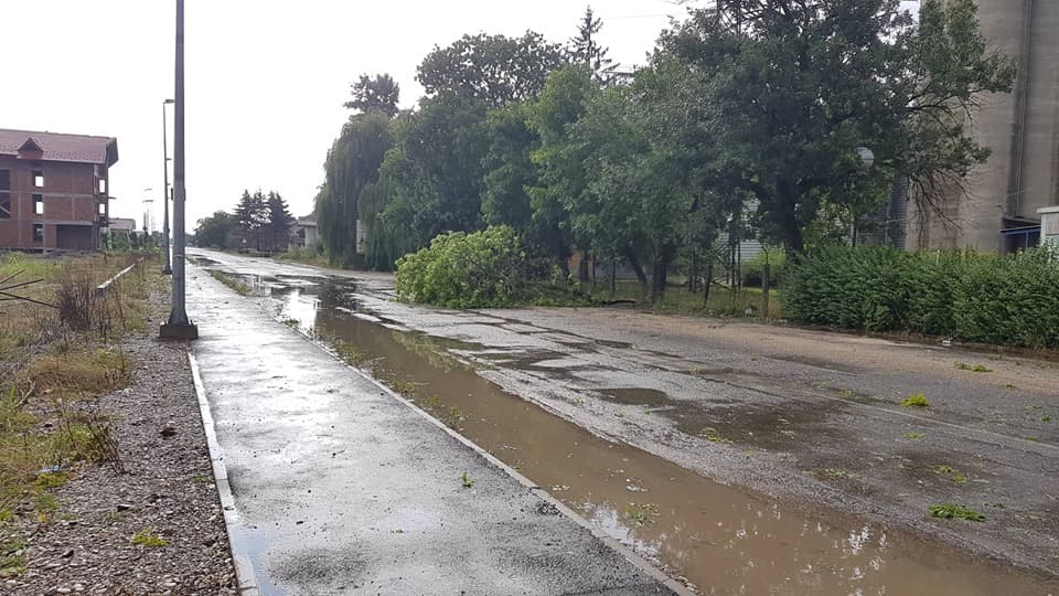 Dnevni avaz