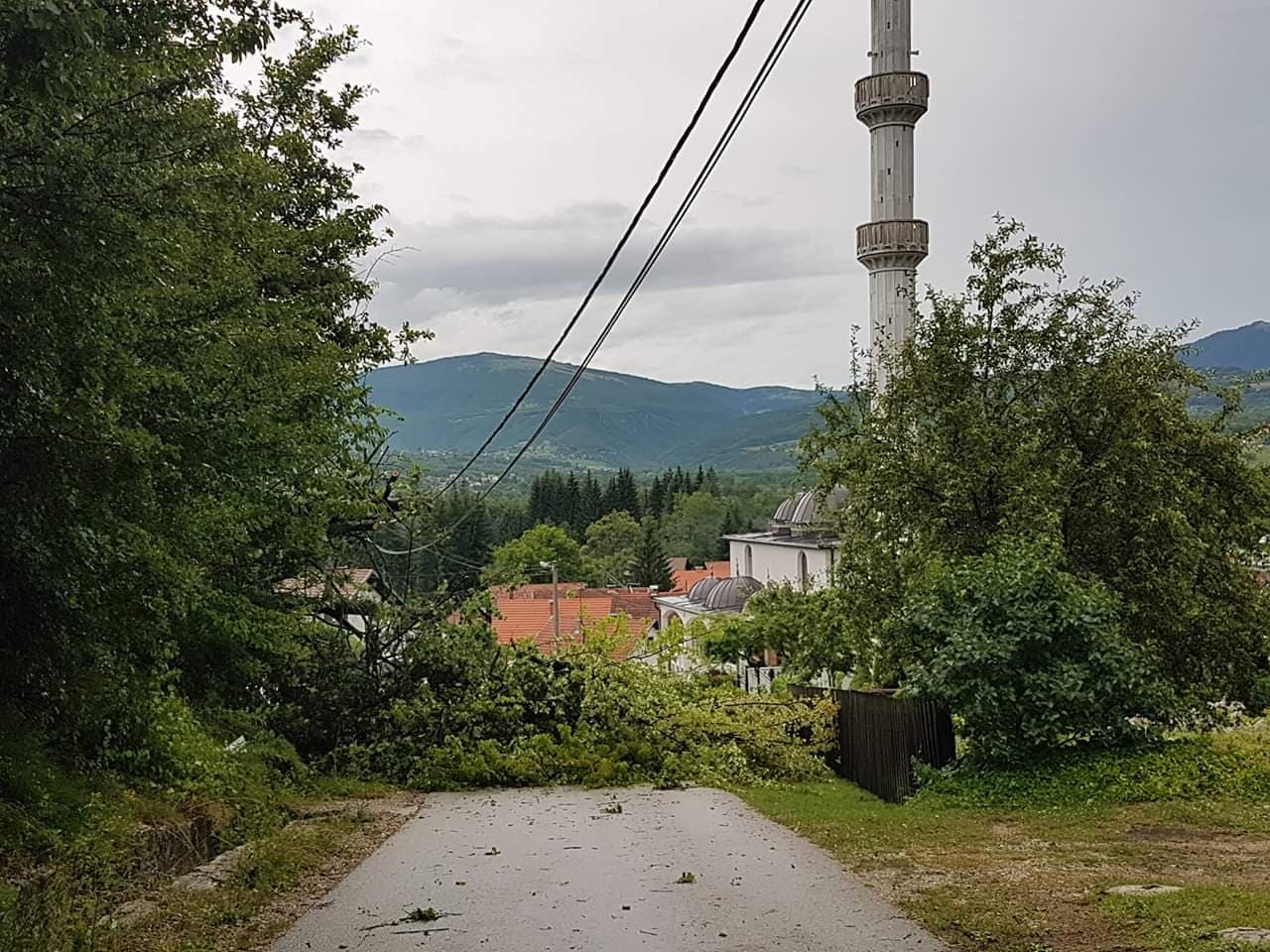 Oborena drveća u Vrbanji - Avaz
