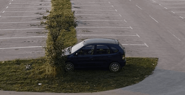 Parikrao na travnjak - Avaz