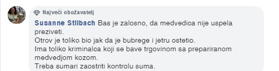 Dnevni avaz