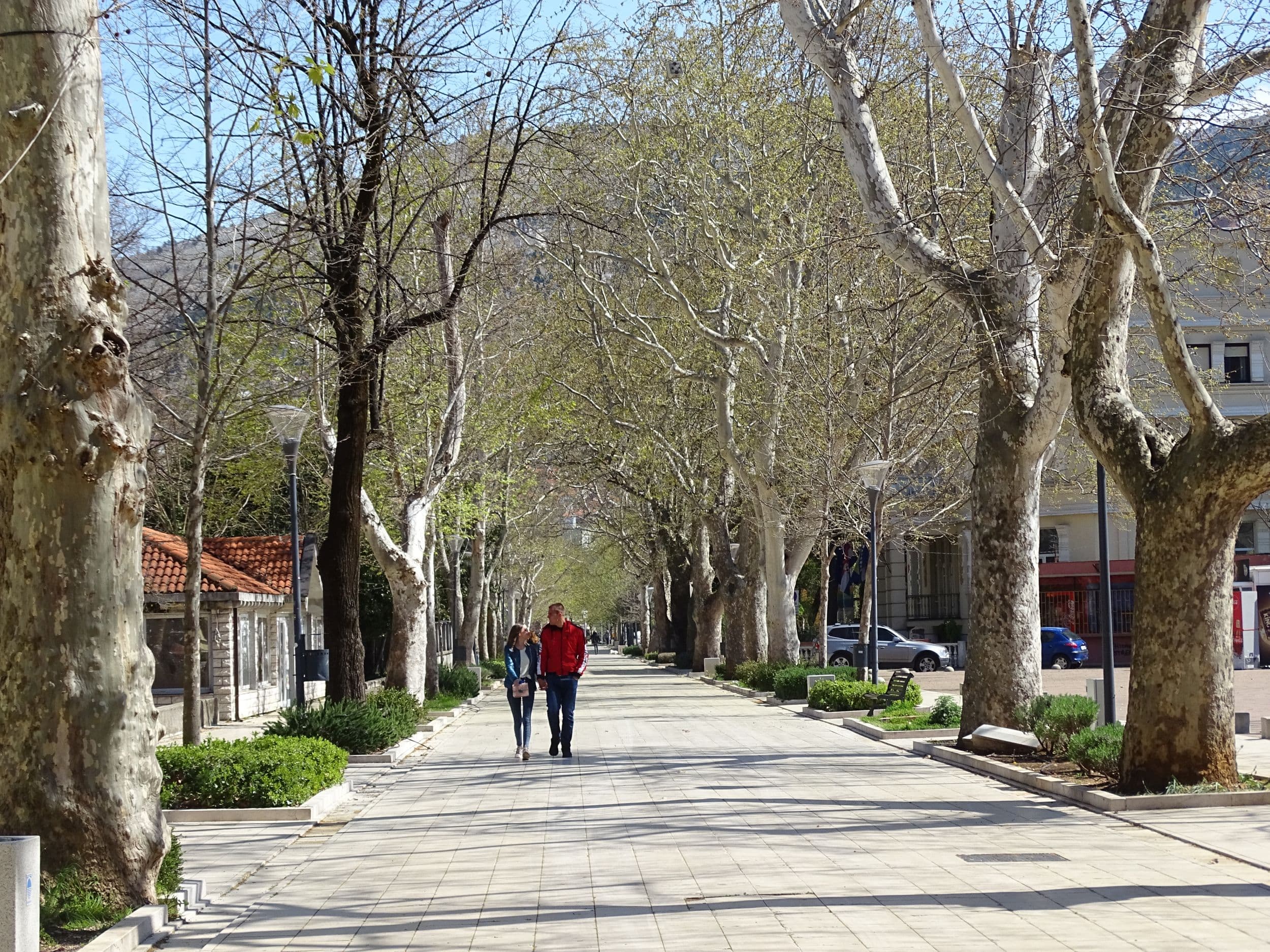 Dnevni avaz