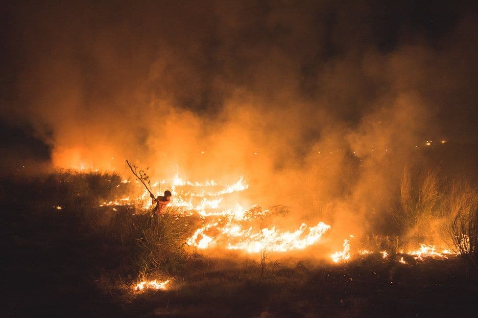 Nagrada za mladog fotografa godine Amaana Alija i njegovu fotografiju Inferno snimljenu je u Yamuna Ghatu, New Delhi - Avaz